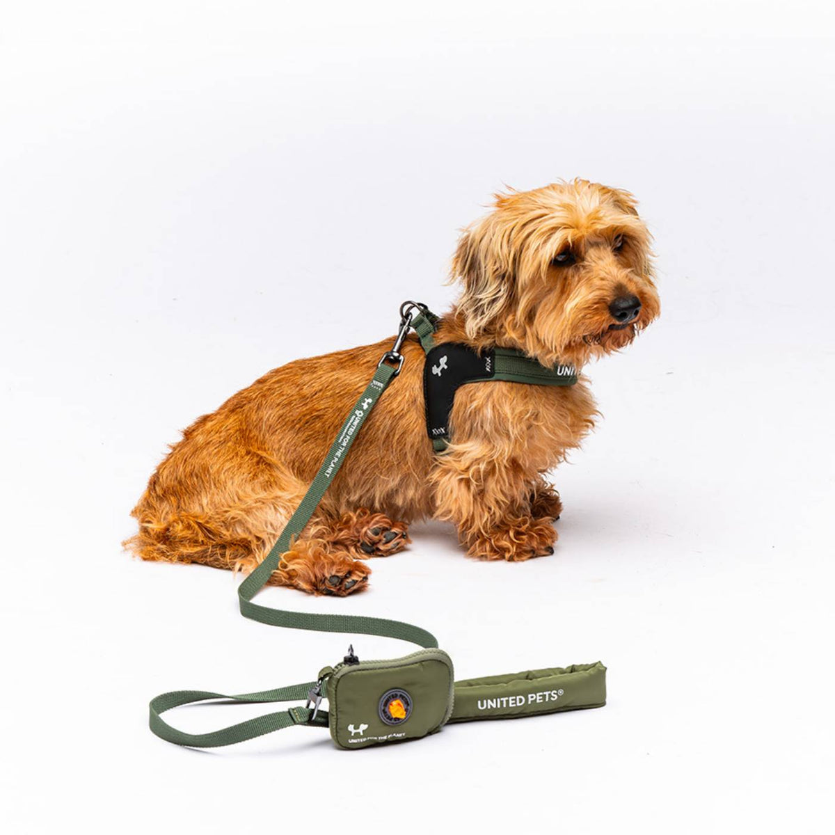United Pets Pettorina per Cani Aggancio Rapido Linea CityLife Verde Militare