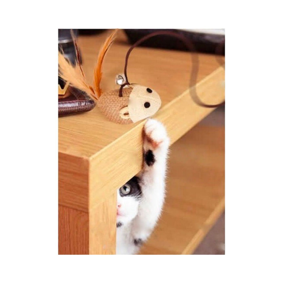 Gioco per Gatti Topolino con Campanellino