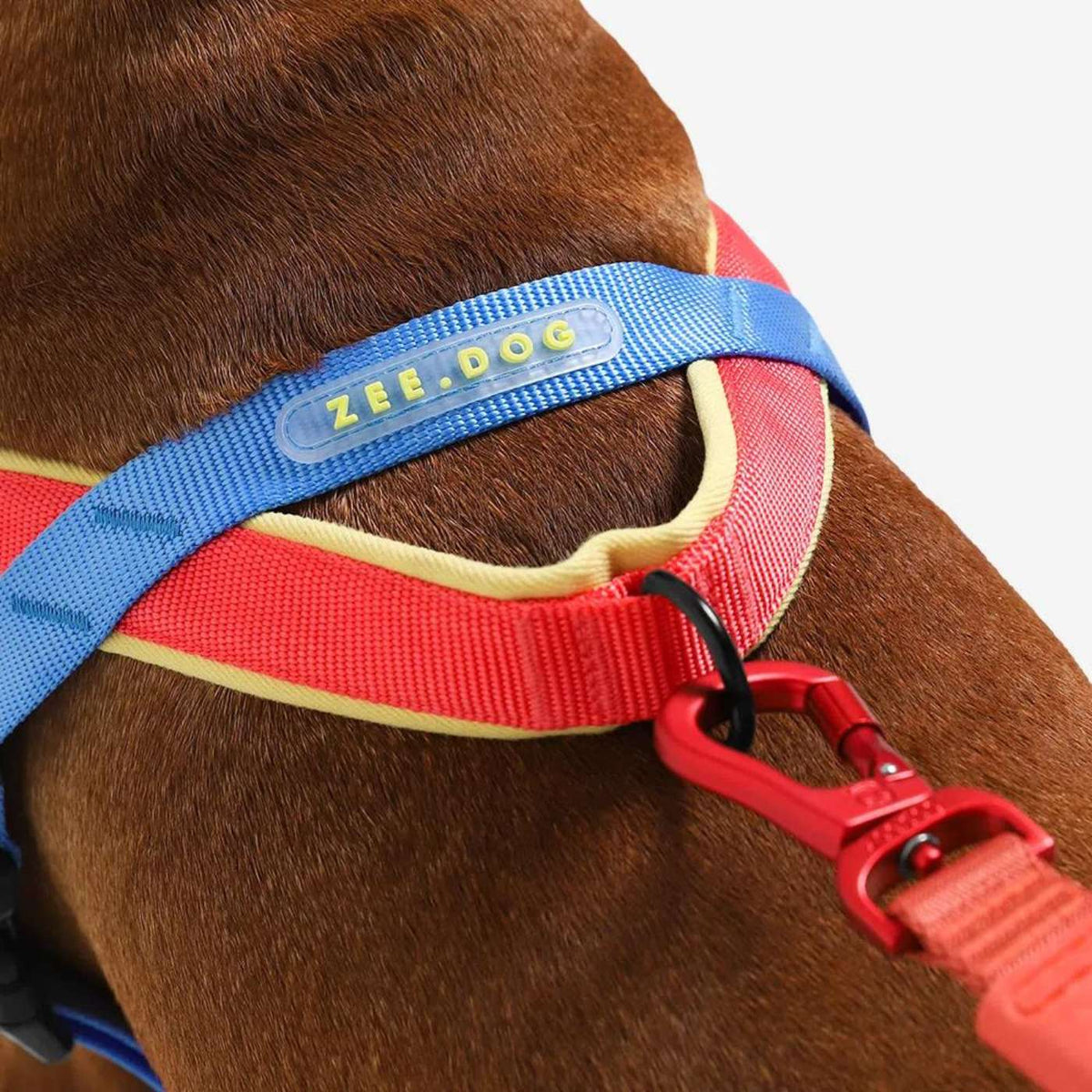 Zee.Dog Pettorina Norvegese per Cani Softer-Walk per Cani Mellow