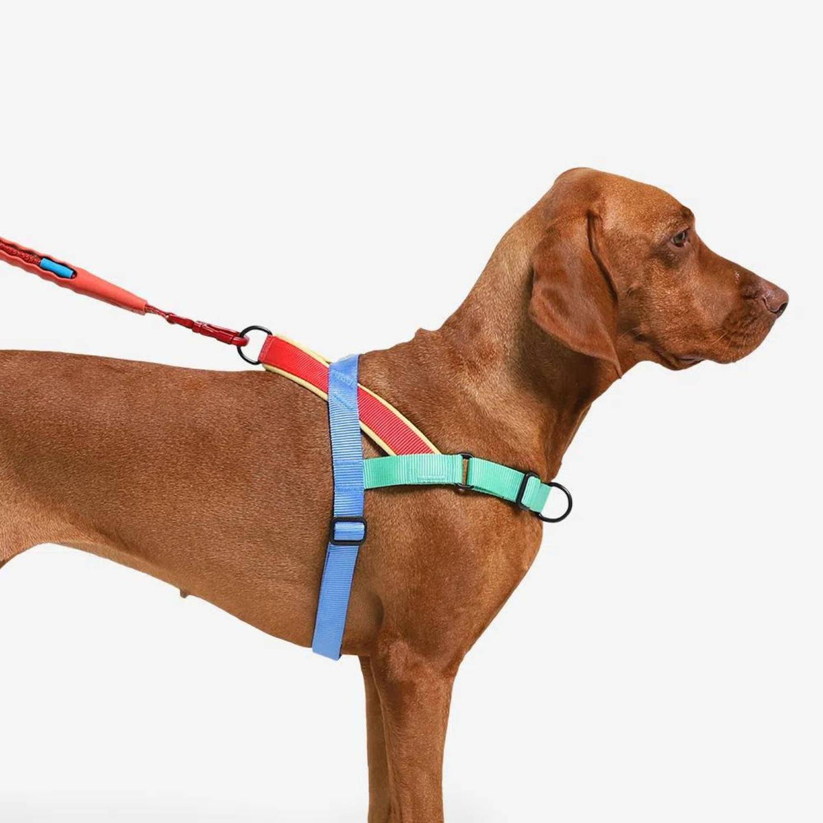 Zee.Dog Pettorina Norvegese per Cani Softer-Walk per Cani Mellow