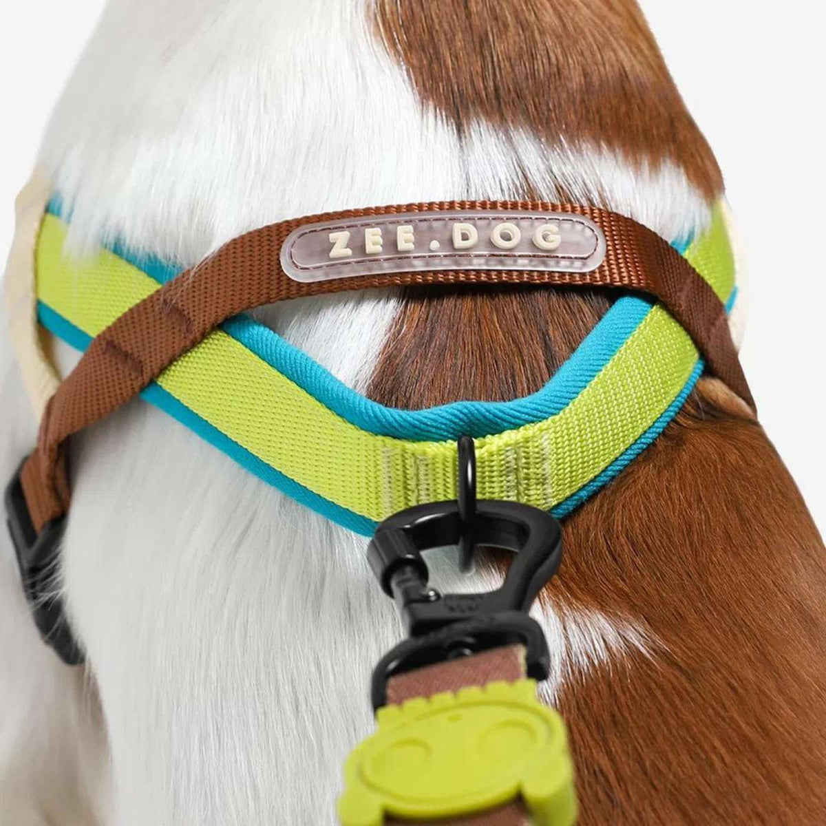 Zee.Dog Pettorina Norvegese Softer-Walk per Cani Avocado