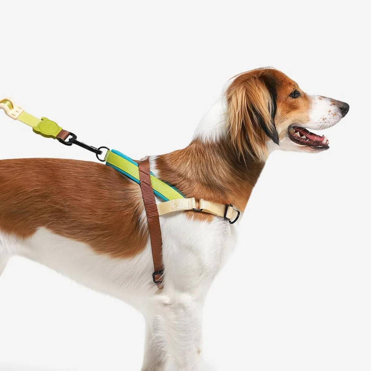 Zee.Dog Pettorina Norvegese Softer-Walk per Cani Avocado