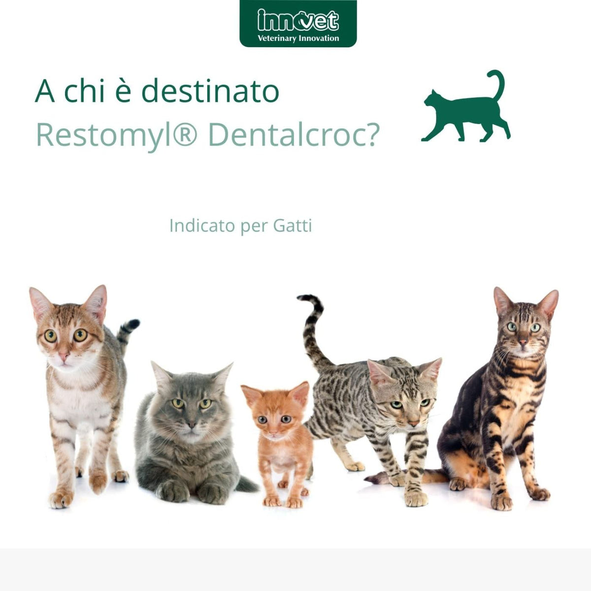 Restomyl Dentalcroc - Cat per Gatti 60 g Innovet