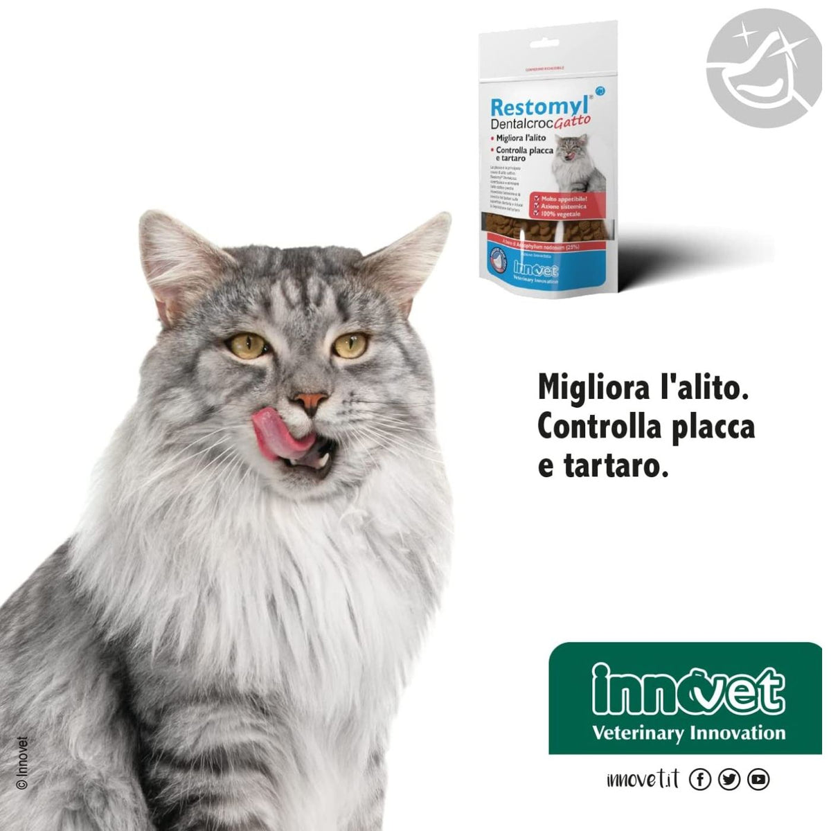 Restomyl Dentalcroc - Cat per Gatti 60 g Innovet