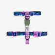 XS torace 23-38 cm