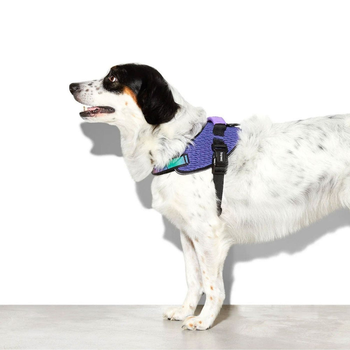 Zee.Dog Pettorina con Maniglia per Cani Wicked