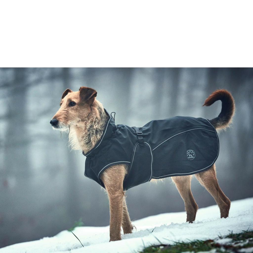 Hunter Cappottino per Cani Uppsala Nero