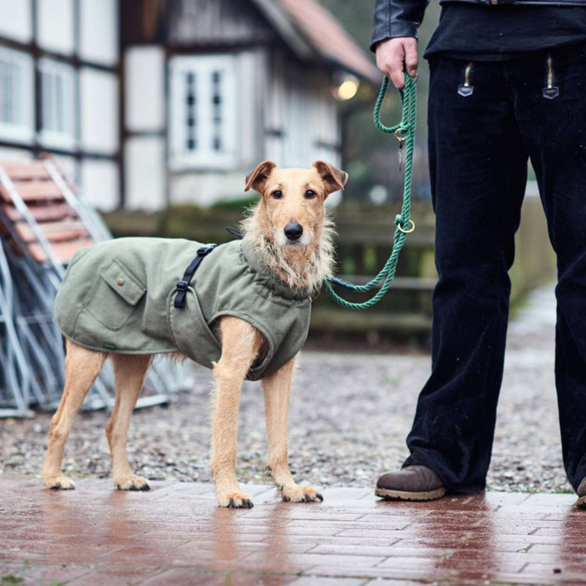 Hunter Cappottino per Cani Uppsala Trend Khaki