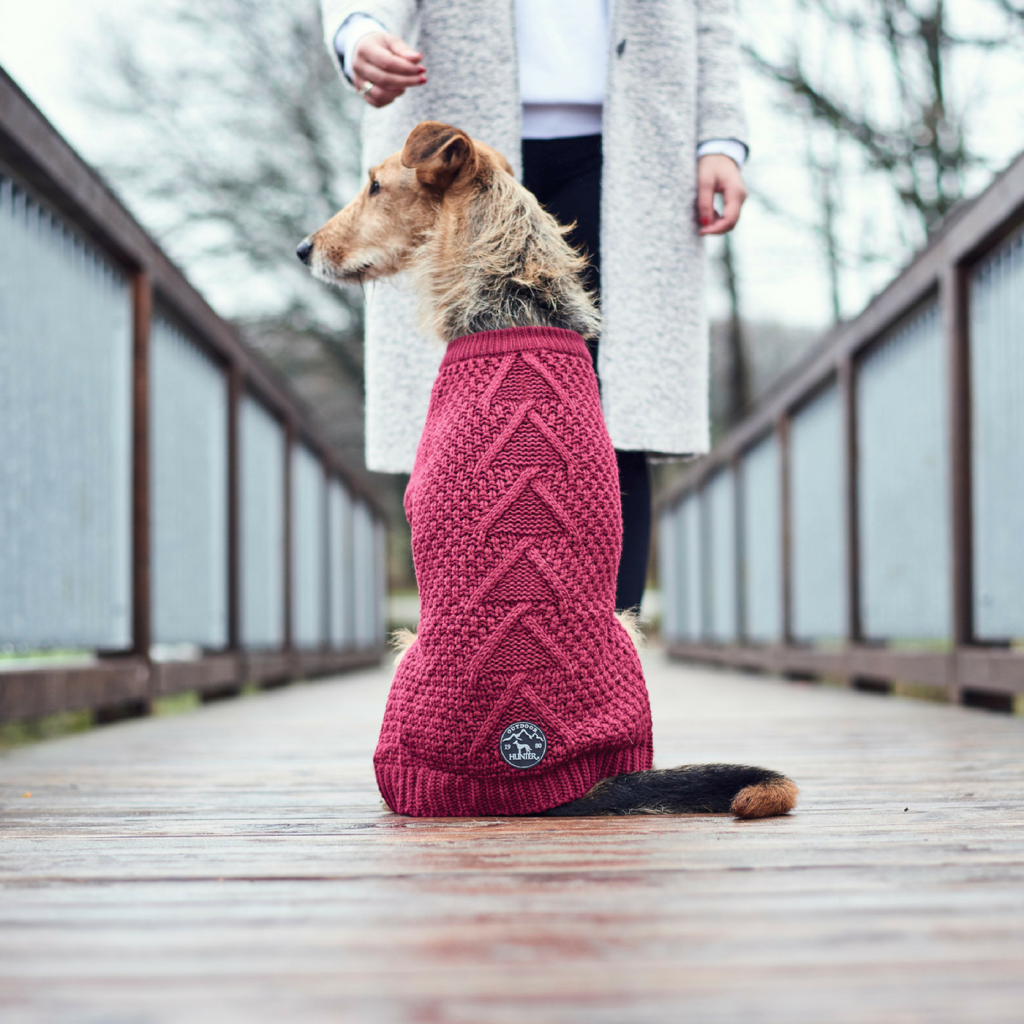 Hunter Maglioncino Pullover per Cani MALMÖ Bordeaux