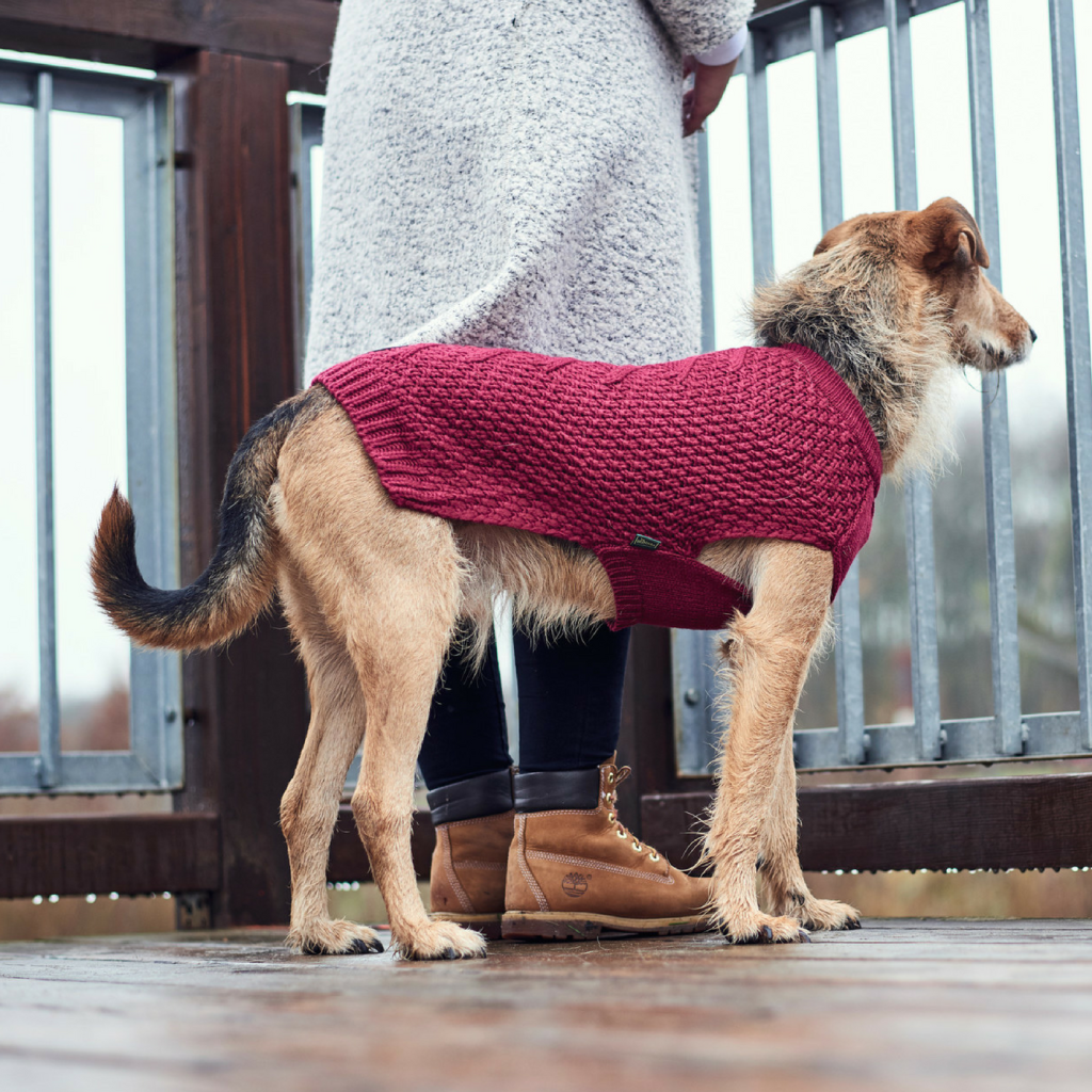 Hunter Maglioncino Pullover per Cani MALMÖ Bordeaux