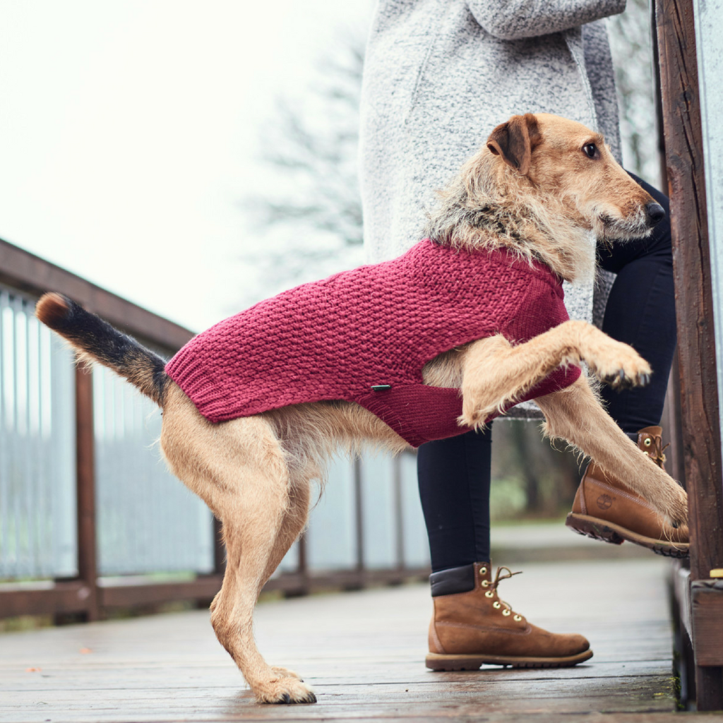 Hunter Maglioncino Pullover per Cani MALMÖ Bordeaux