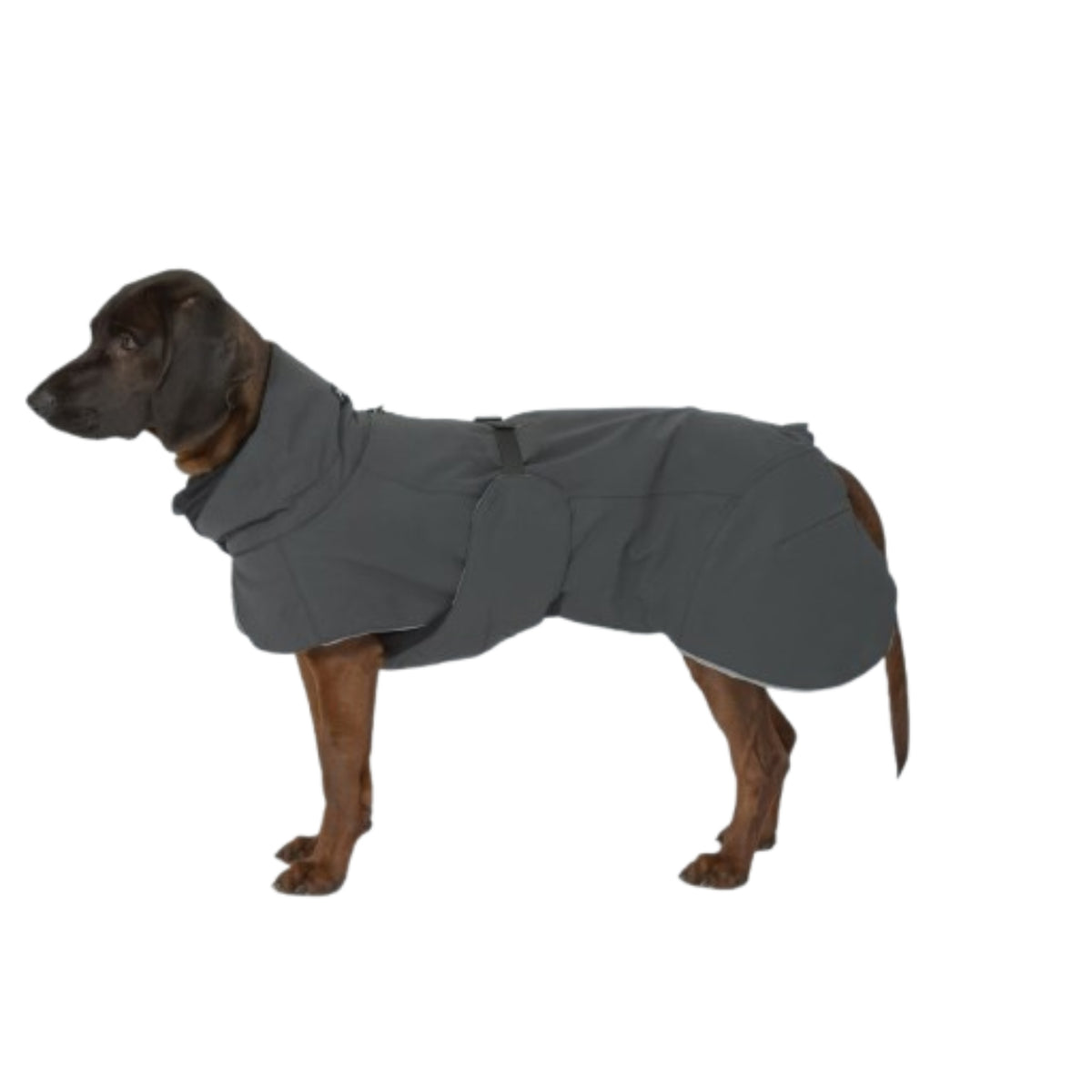 Paikka Giacca Invernale per Cani ad Alta Visibilità Nera