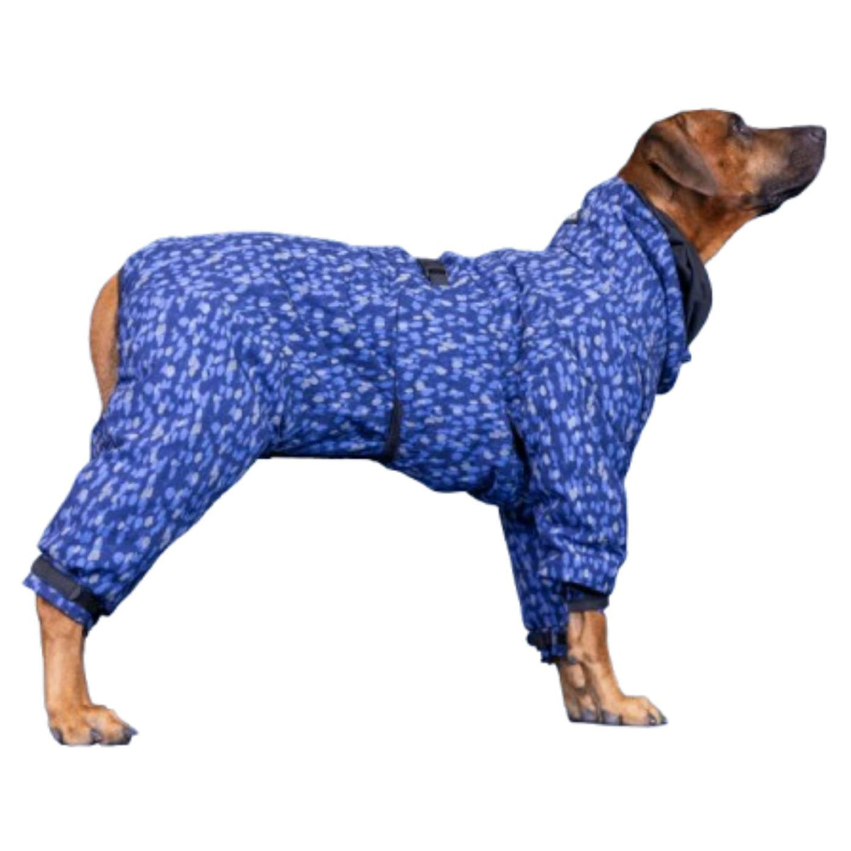 Paikka Giacca Invernale per Cani Impermeabile con Imbottitura Blu