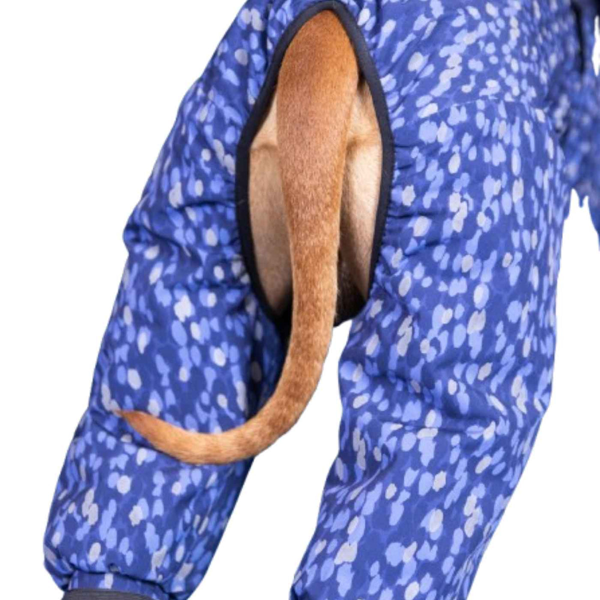 Paikka Giacca Invernale per Cani Impermeabile con Imbottitura Blu