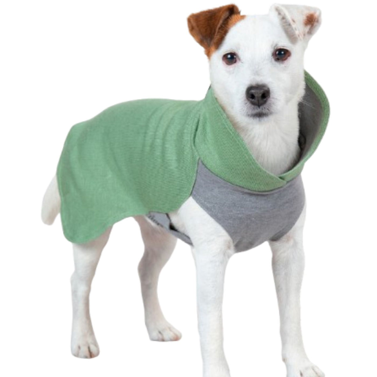 Paikka Maglietta in Tessuto Recovery per Cani Verde Salvia