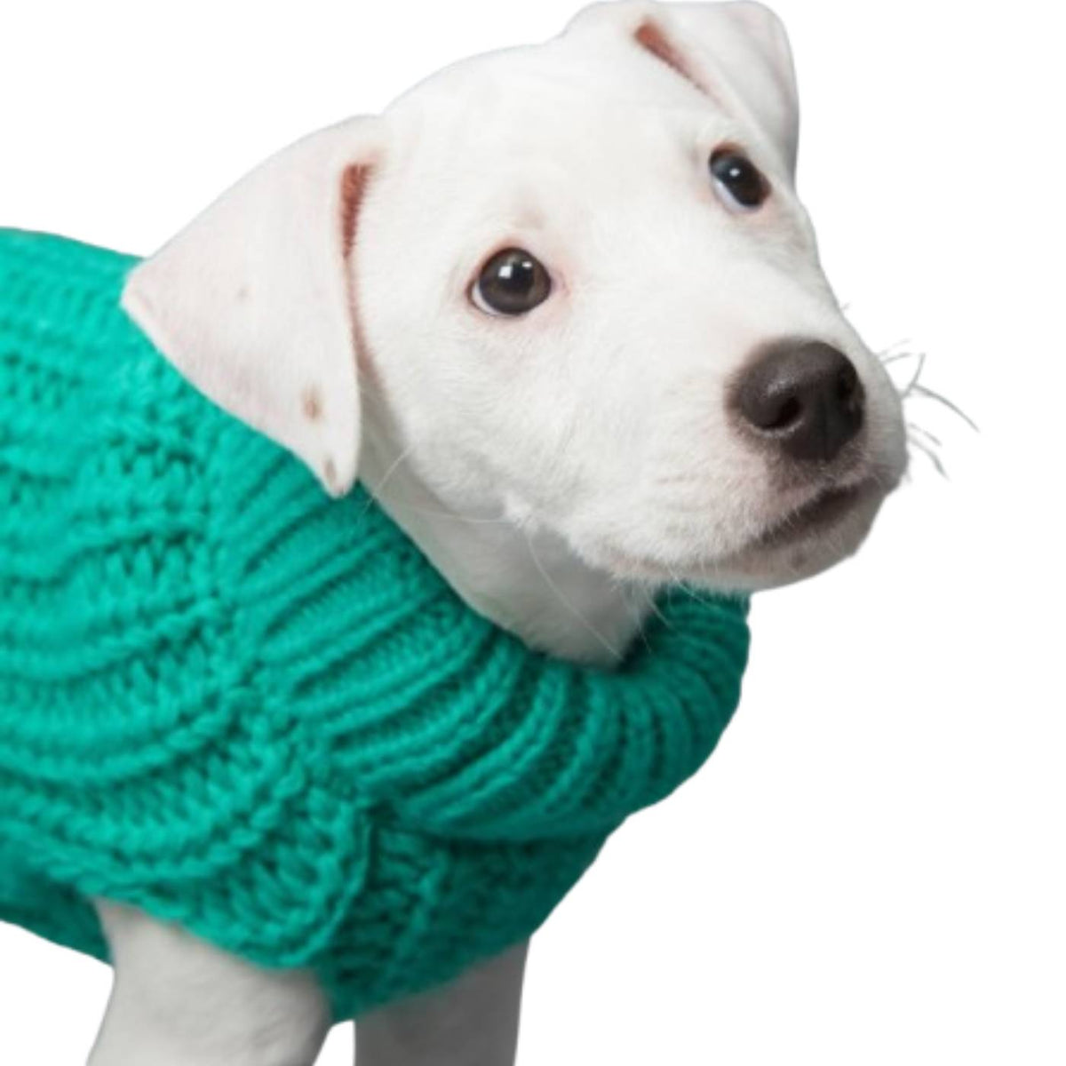 Paikka Pullover a Maglia Realizzato a Mano per Cani Verde Smeraldo