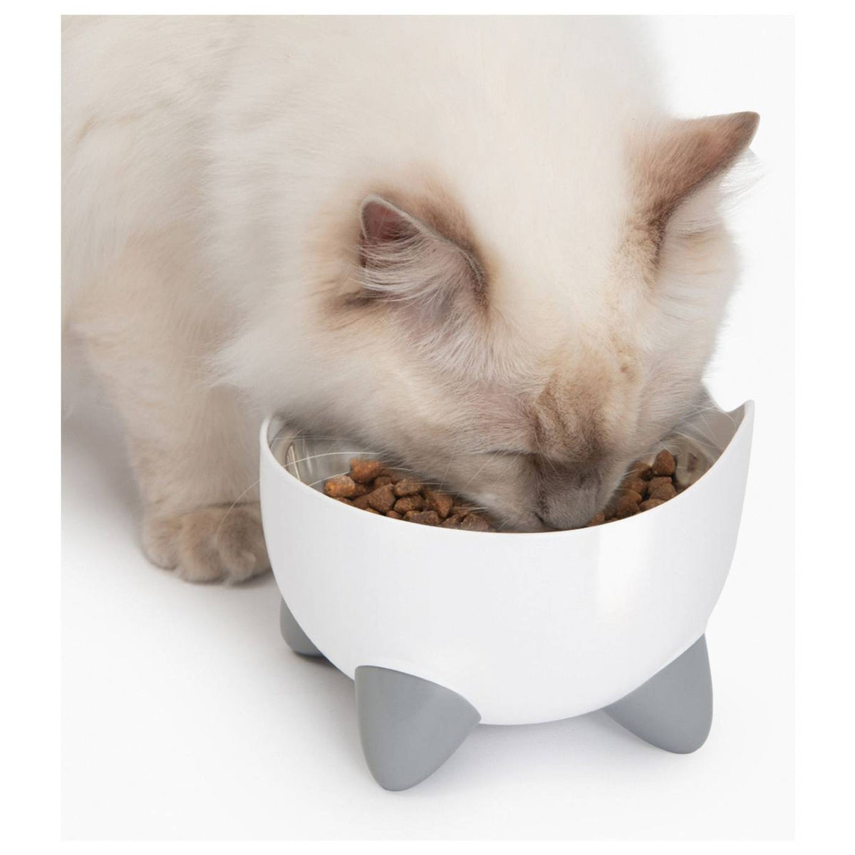 Catit Fontana Automatica per Gatti Combo Pack Pixi Bianca con Ciotola e 3 Filtri Inclusi