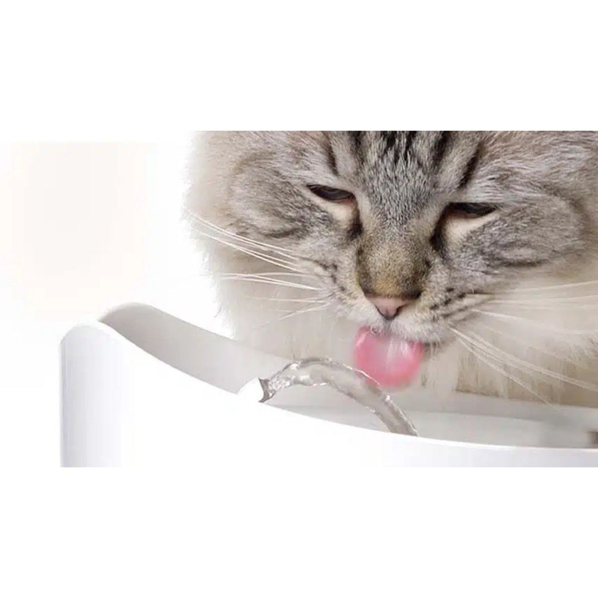 Catit Fontana Automatica per Gatti Pixi Blu 2,5 L