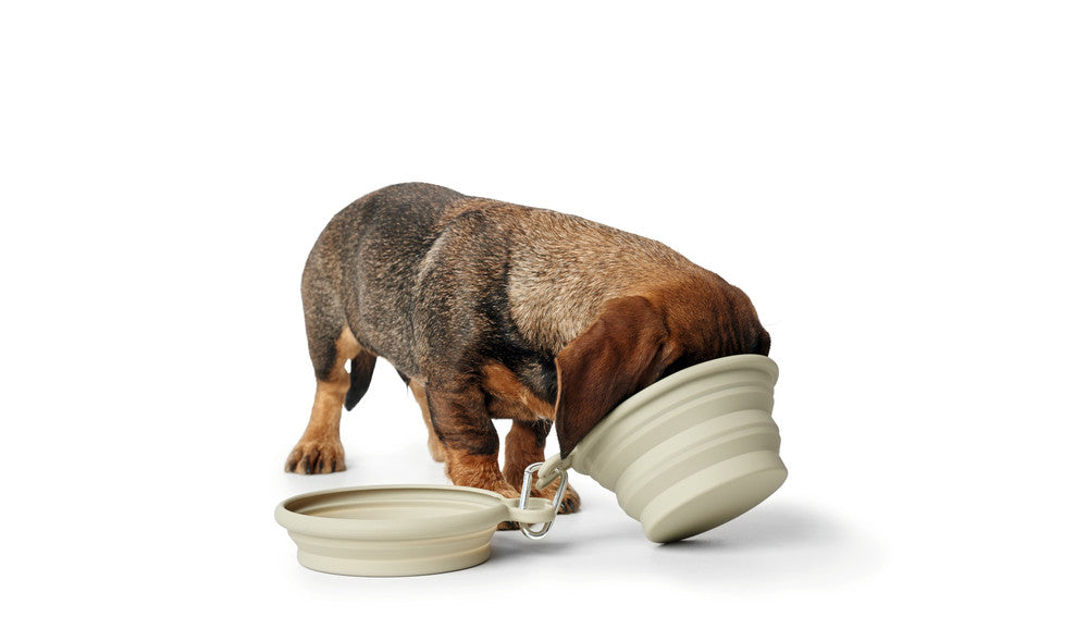 Hunter Ciotole da Viaggio in Silicone per Cani List 350 / 750 ml Beige