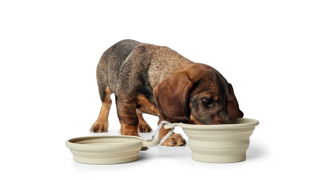 Hunter Ciotole da Viaggio in Silicone per Cani List 350 / 750 ml Beige