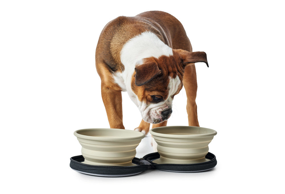 Hunter Ciotole da Viaggio per Cani in Silicone a Borsa Hunter