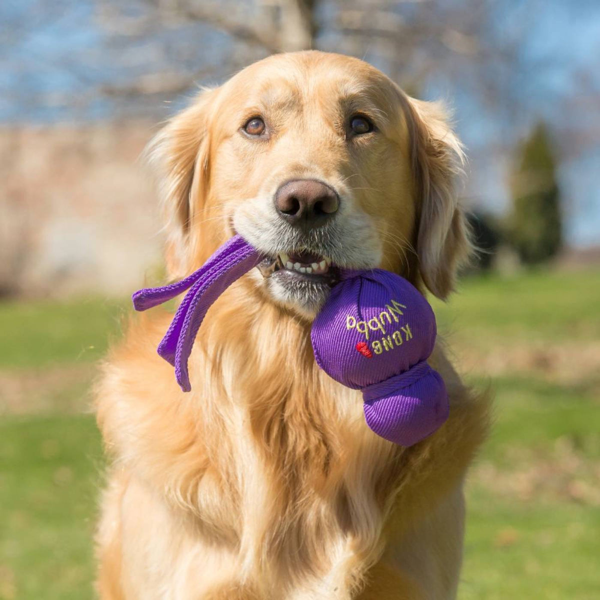 Kong Wubba Gioco con Squeaker per Cani Colori Assortiti