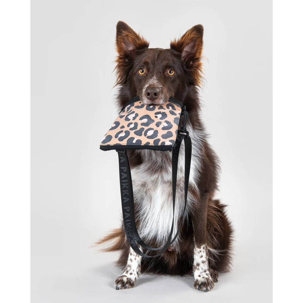 Paikka Borsa Porta Premietti per Cani Alta Visibilità Leo