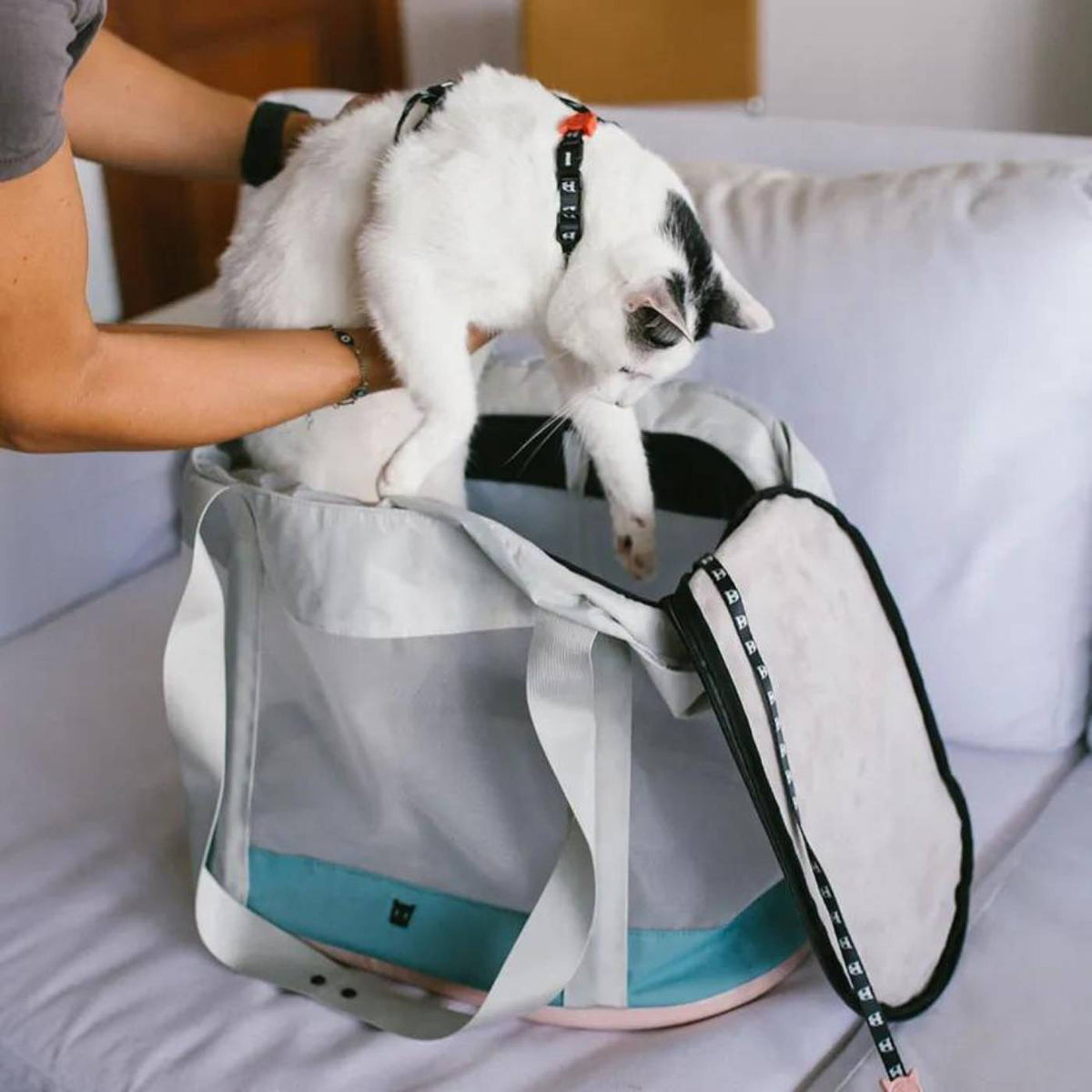 Zee.Cat Trasportino per Gatti Kombucha