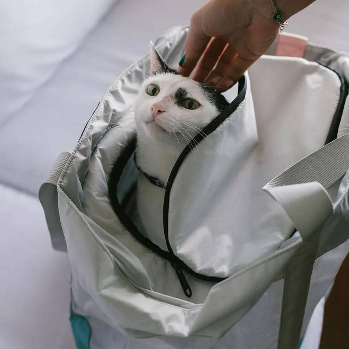 Zee.Cat Trasportino per Gatti Kombucha