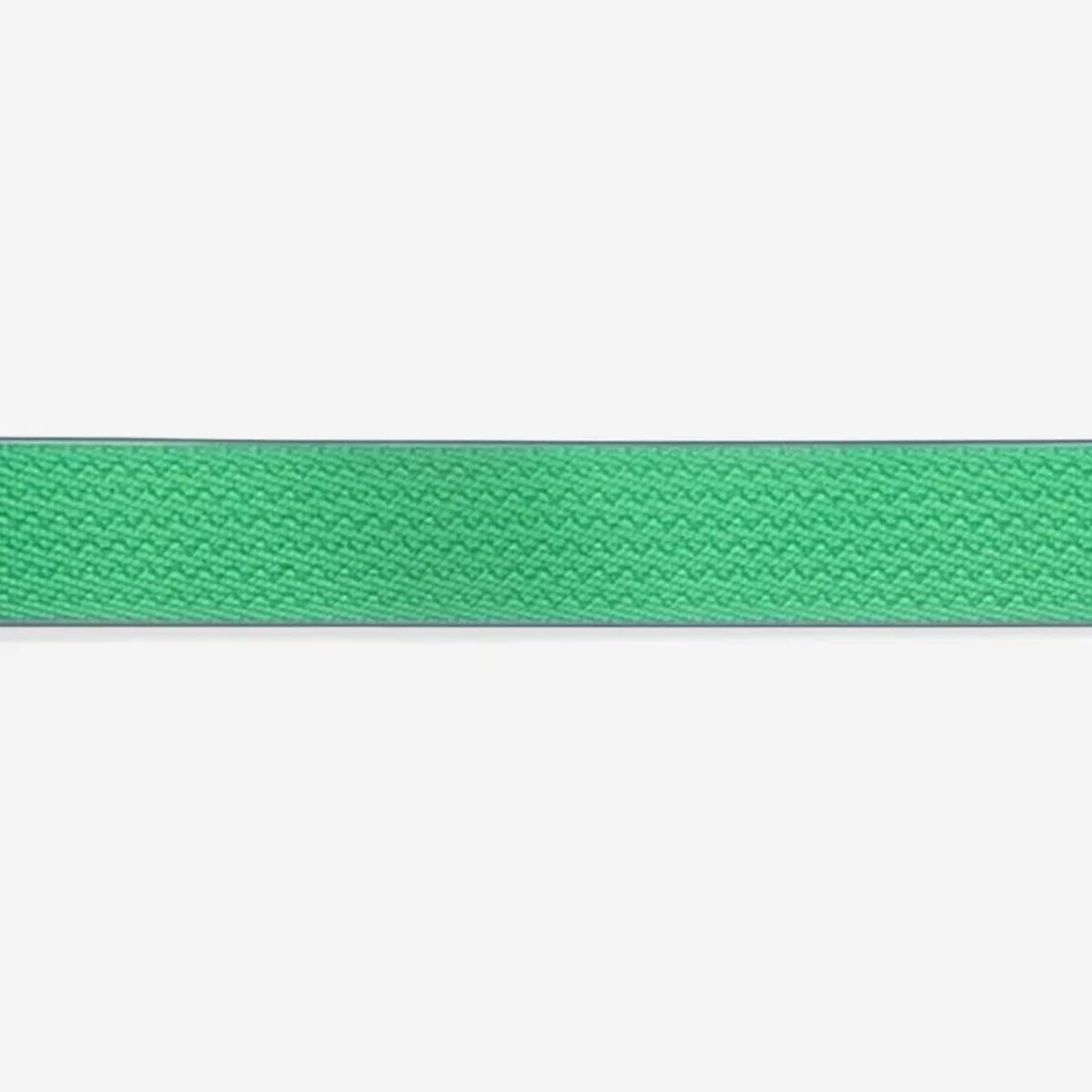Zee.Dog Collare per Cani Regolabile Linea Neopro Apex