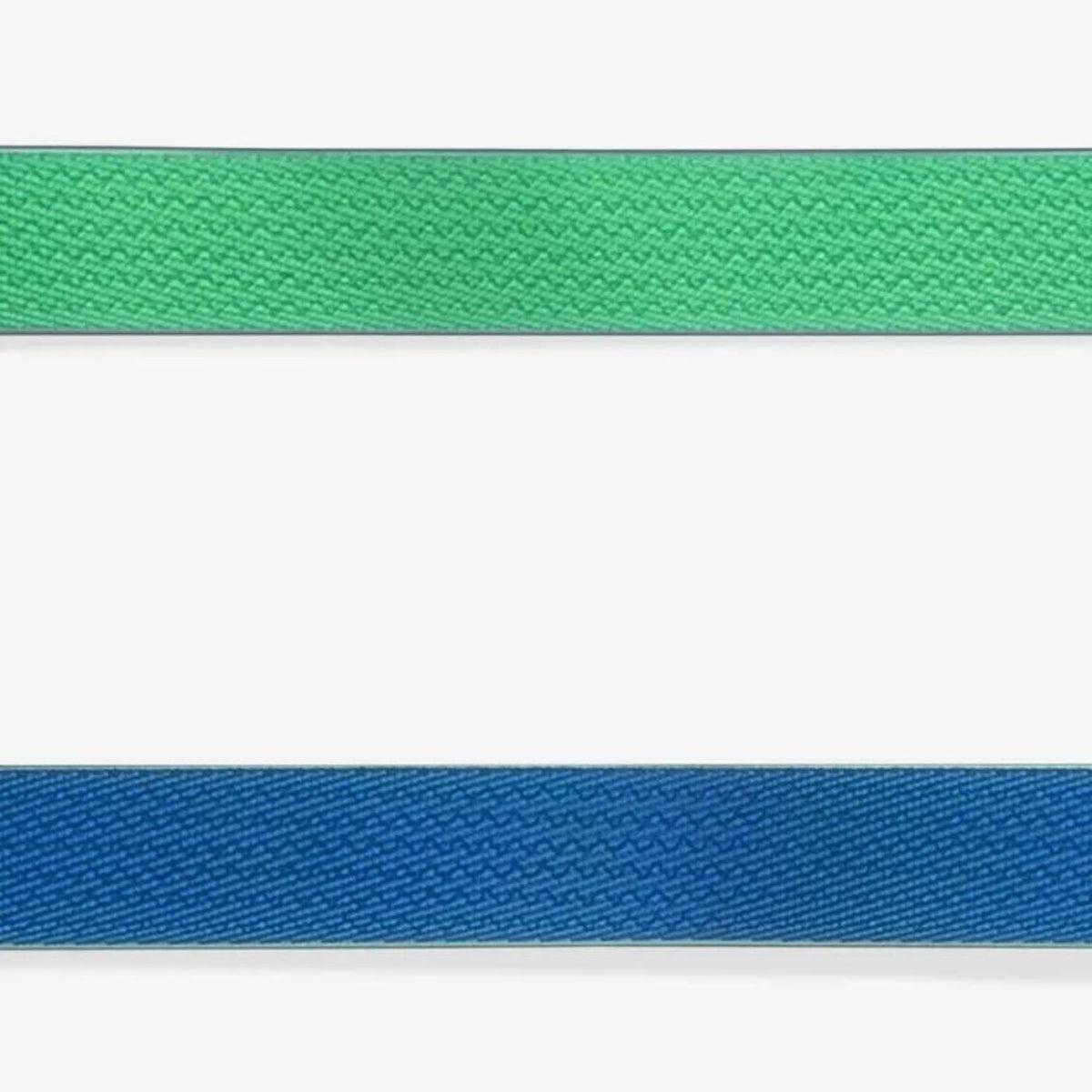 Zee.Dog Guinzaglio Fisso per Cani Linea Neopro Apex