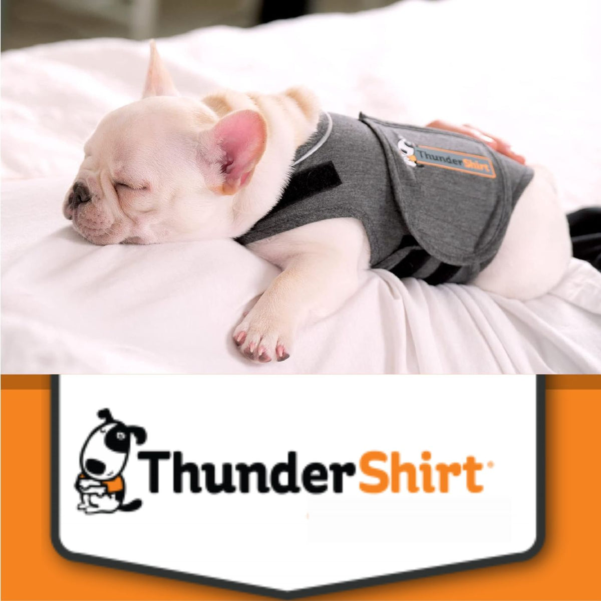 Thundershirt Dog Gilet Grigio per Cani