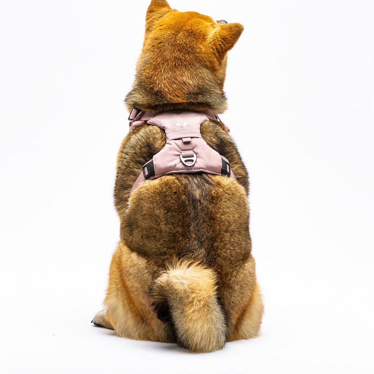 United Pets Pettorina H per Cani Imbottita Linea CityLife Rosa