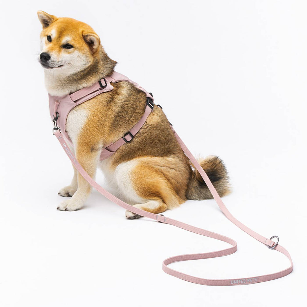 United Pets Pettorina H per Cani Imbottita Linea CityLife Rosa