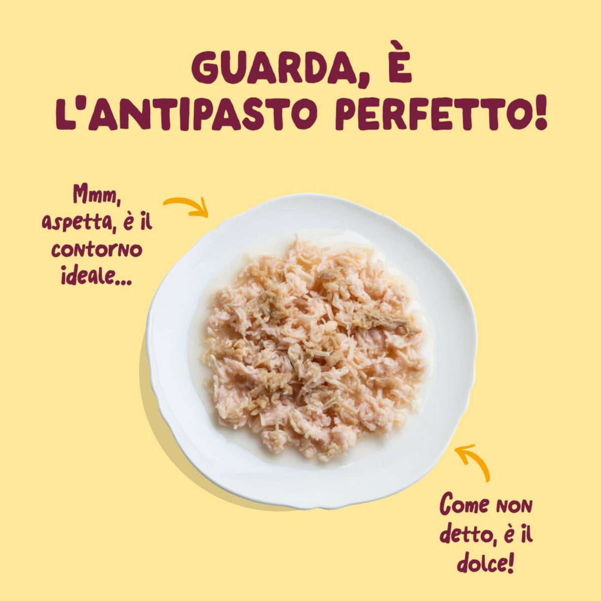 Edgard &amp; Cooper Sfilaccetti per Gatti Adulti Pollo con Tacchino in Brodo di Pollo 70 g