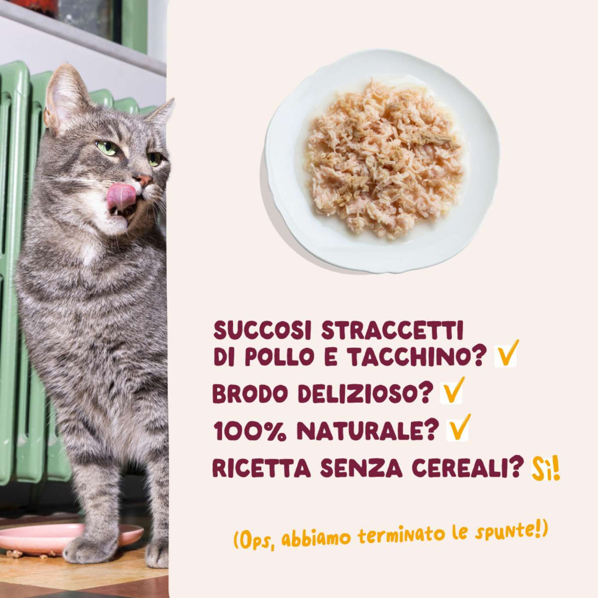 Edgard &amp; Cooper Sfilaccetti per Gatti Adulti Pollo con Tacchino in Brodo di Pollo 70 g