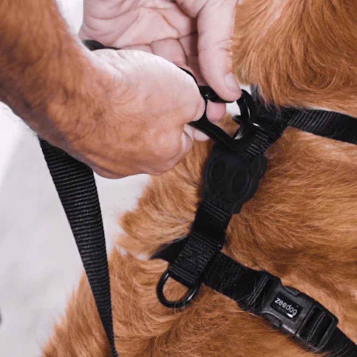 Zee.Dog Pettorina ad H per Cani Reebok Aerobic