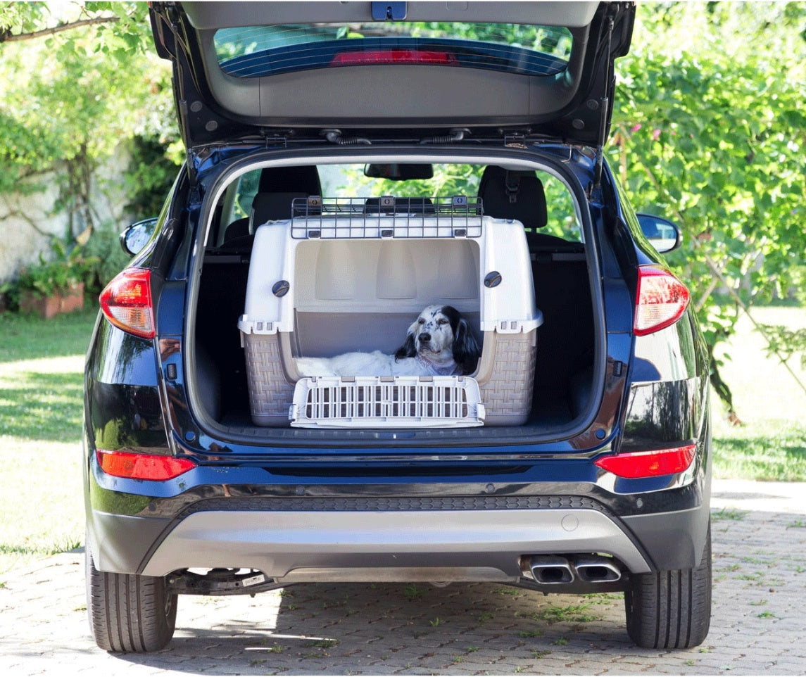 Bama Pet Trasportino Auto per Animali Easy Tour con Ruote Bordeaux