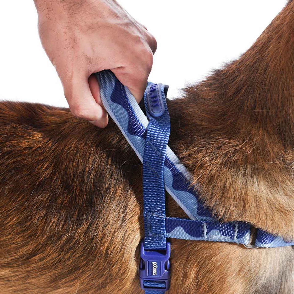 Zee.Dog Pettorina Norvegese Softer-Walk per Cani Swell