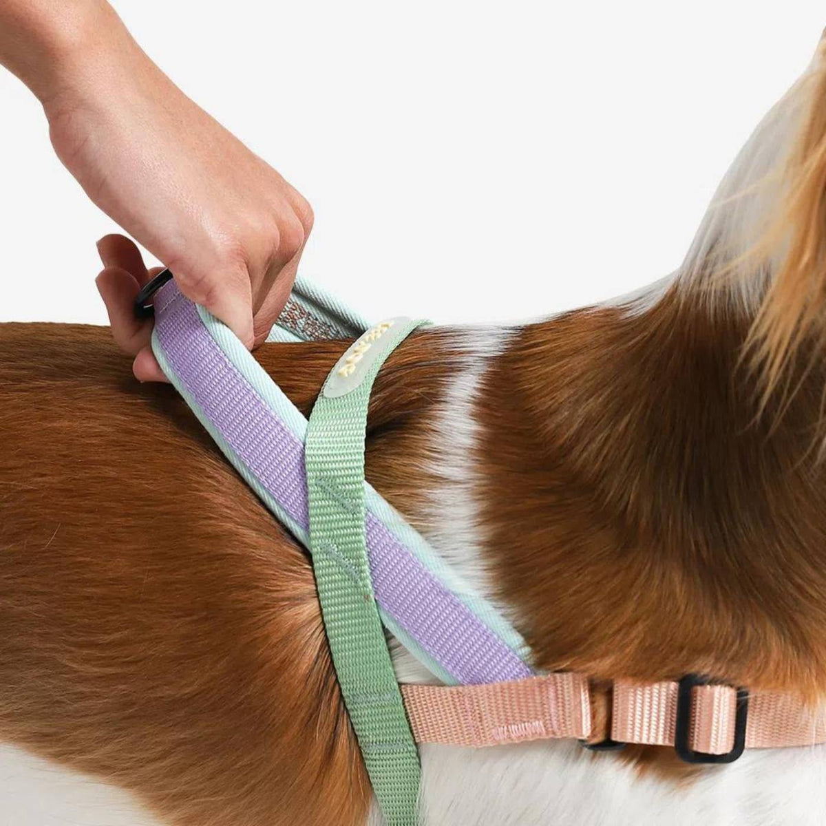 Zee.Dog Pettorina Norvegese Softer-Walk per Cani Peach