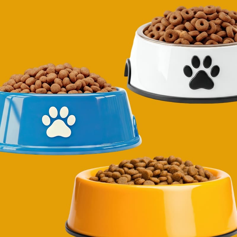 Cane - contenitori cibo