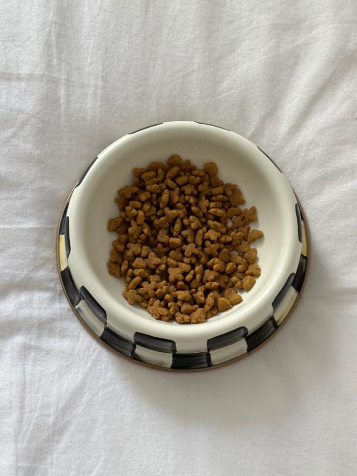 Snack